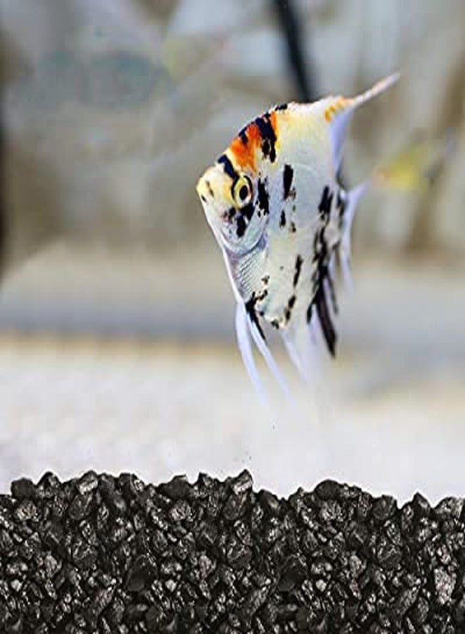 VAYINATO Petzlifeworld Black Lava Chips Can Be Used As Aquarium Substrate/Base And For Indoor Plants Size 2-3Mm(1Kg) - Image 5